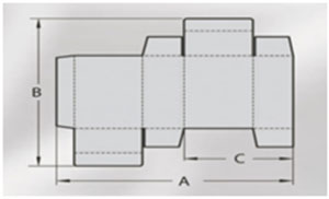 plane figure